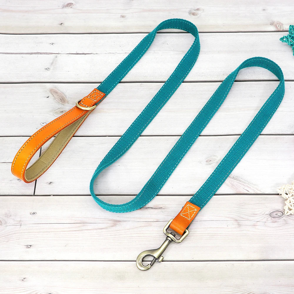 Laisse de marche nylon - chien