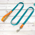 Laisse de marche nylon - chien