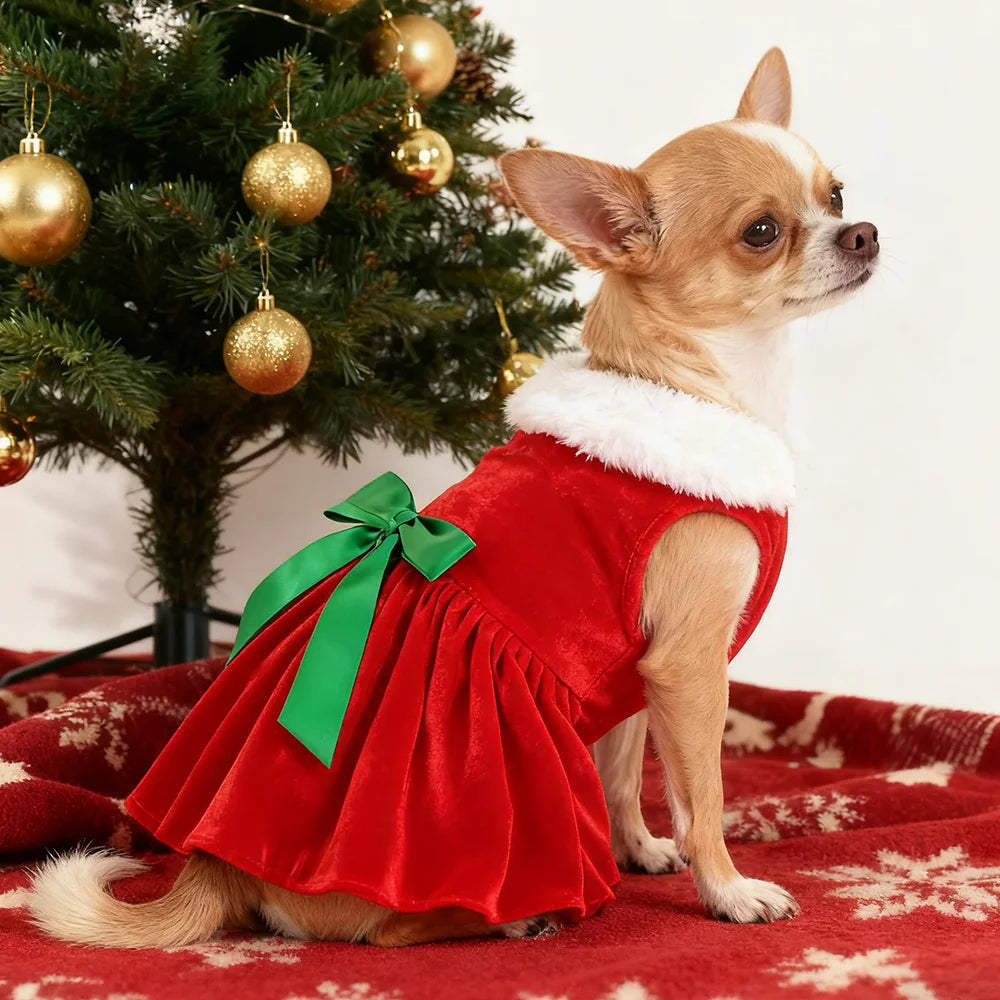 Robe de Noël pour chien & chat