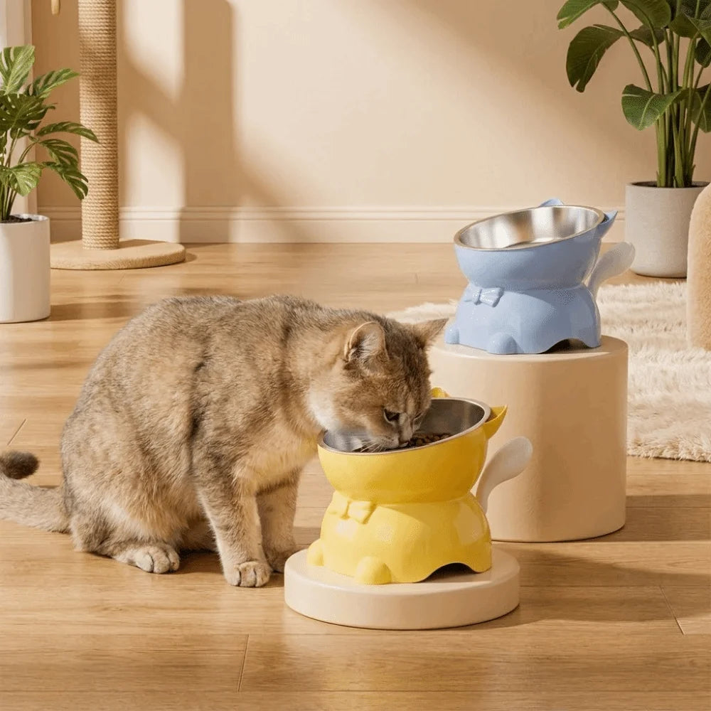Bol incliné anti-étouffement - chat
