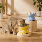 Bol incliné anti-étouffement - chat