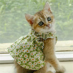 Robe fleurie pour chat