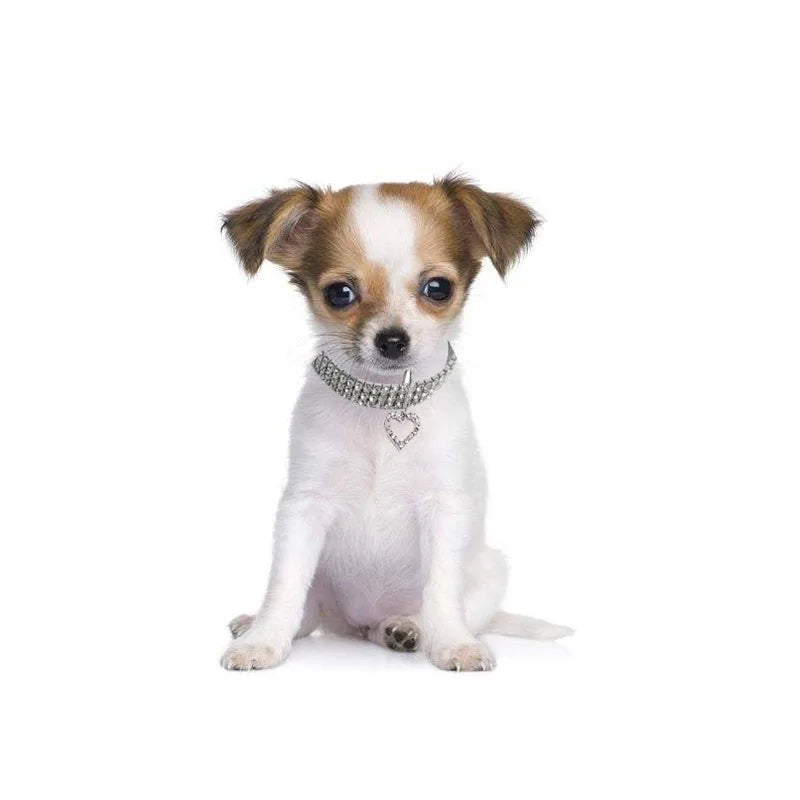 Collier strass cœur - chat ou petit chien