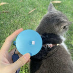 Laisse Rétractable Mini 2 m / 3 m pour Petit Chien, Chat et Chiot