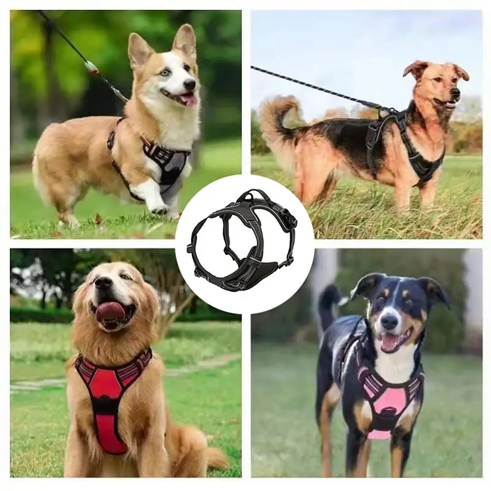 Harnais confort anti-traction avec laisse - chien