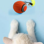 Balle interactive intelligente et rechargeable pour chat