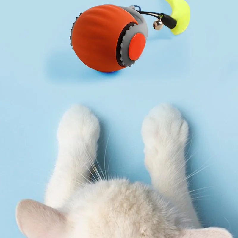 Balle interactive intelligente et rechargeable pour chat