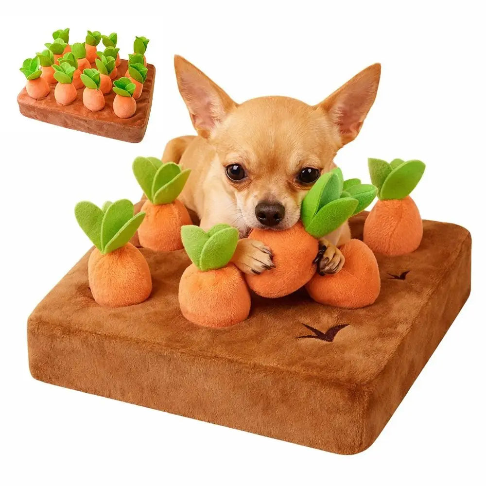 Tapis de fouille avec carottes amovibles – chien et chat