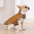 Manteau réversible chaud - chien et chat