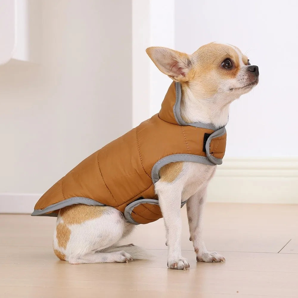 Manteau réversible chaud - chien et chat