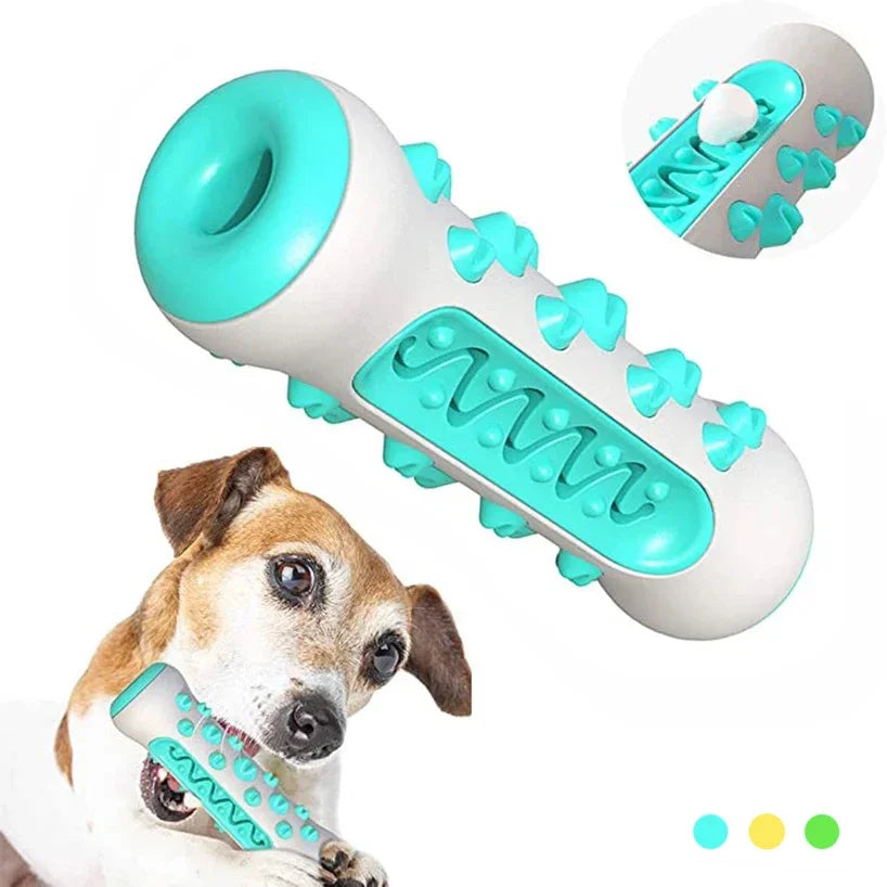Jouet brosse à dents pour chien à mâcher