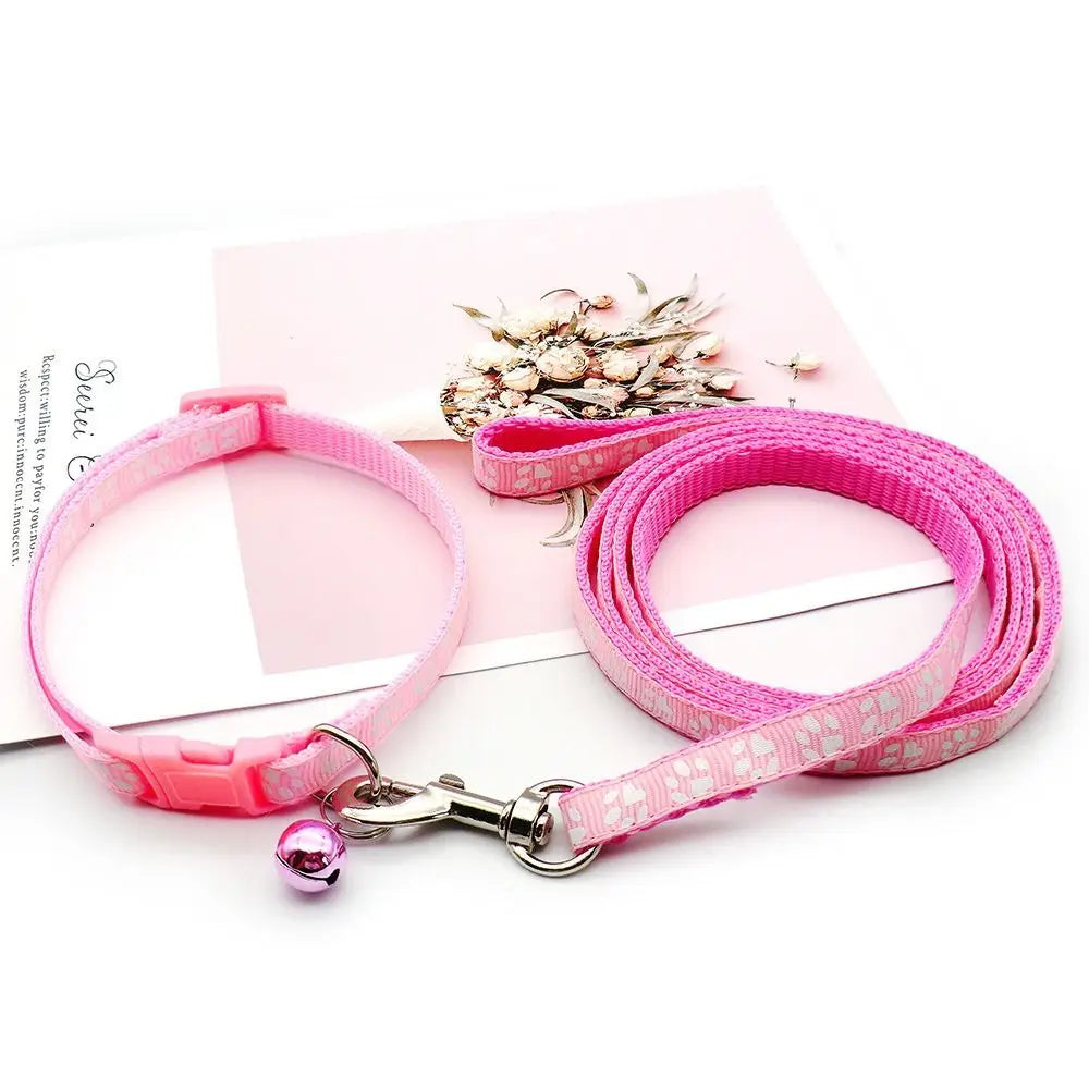 Collier + laisse nylon motif empreintes pour chat et petit chien