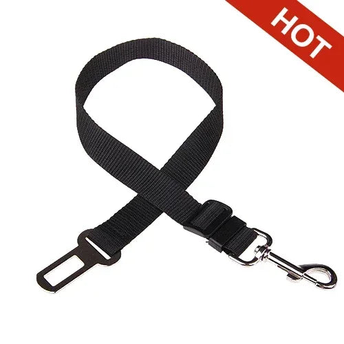 Ceinture de sécurité réglable pour chien et chat