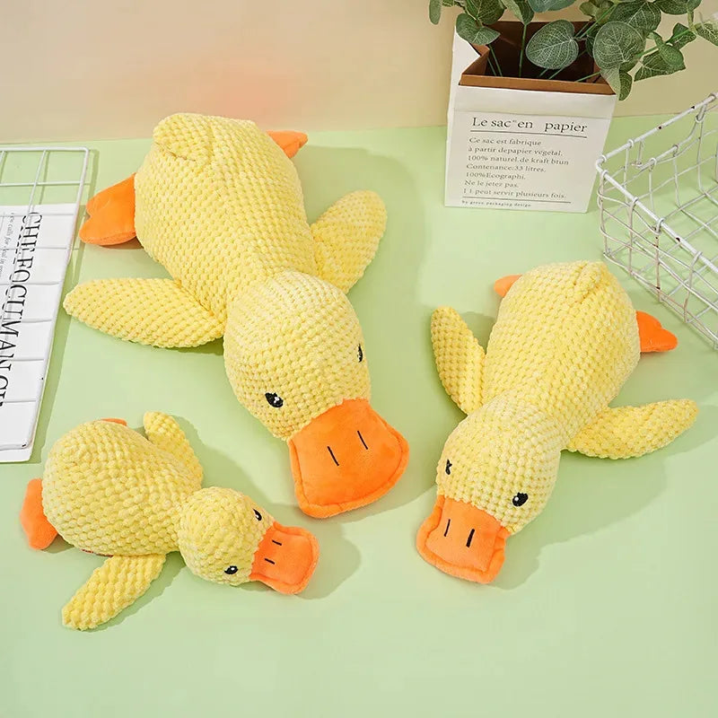 Jouet Canard en Peluche pour Chien