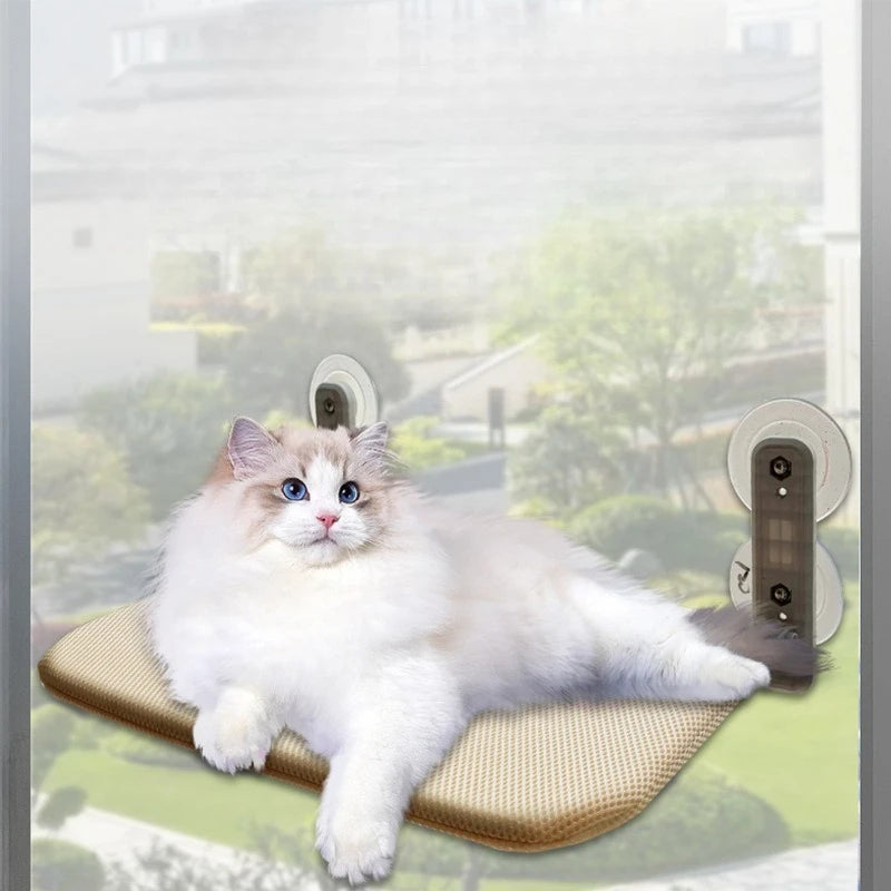 Maison suspendue - chat