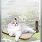 Maison suspendue - chat