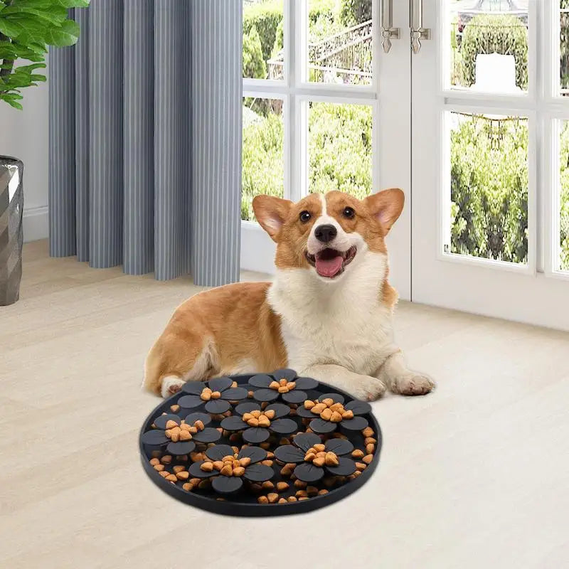 Puzzle d’alimentation lente pour chiot, petit chien et chat