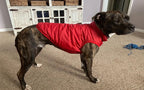 Veste d’Hiver Polaire pour Chien et Chat