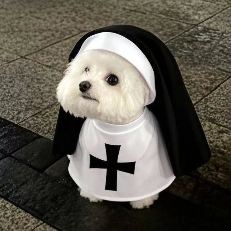 Costume de nonne Halloween - chien ou chat