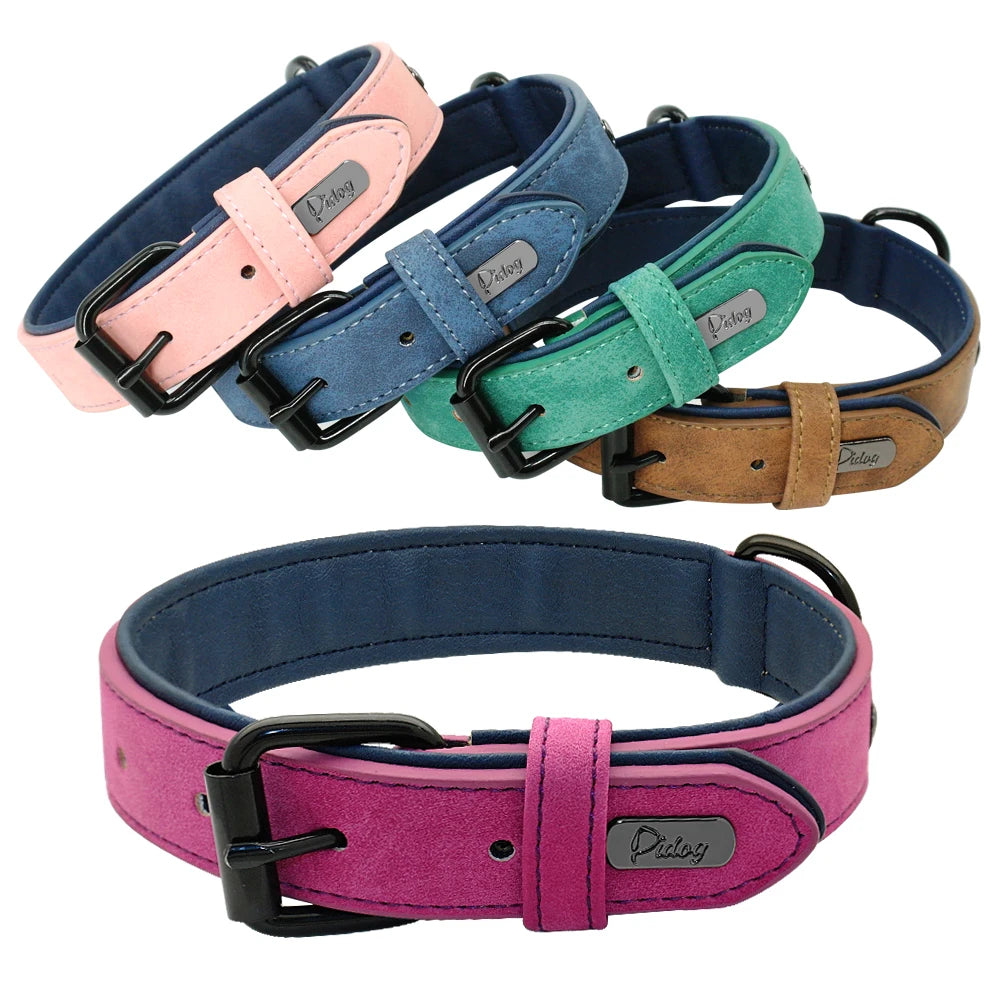 Collier en cuir rembourré – chien