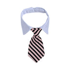 Collier cravate rayé pour chat et petit chien