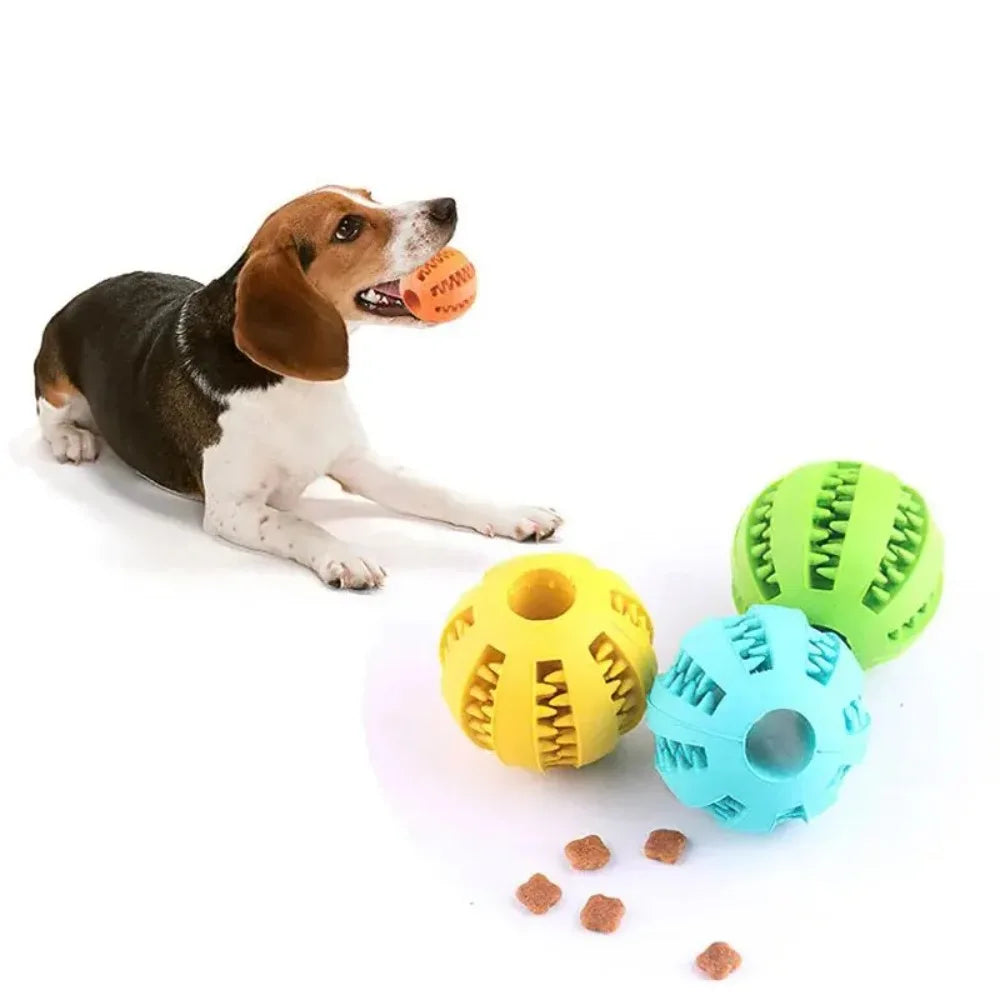 Balle à friandises résistante - chien