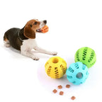 Balle à friandises résistante - chien