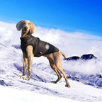 Manteau d’hiver hydrofuge pour chien