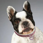 Collier strass cœur - chat ou petit chien