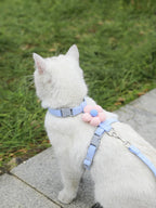 Harnais floral réglable respirant + laisse assortie pour chat et petit chien