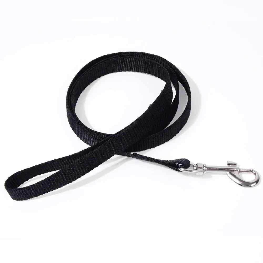 Laisse nylon - chat