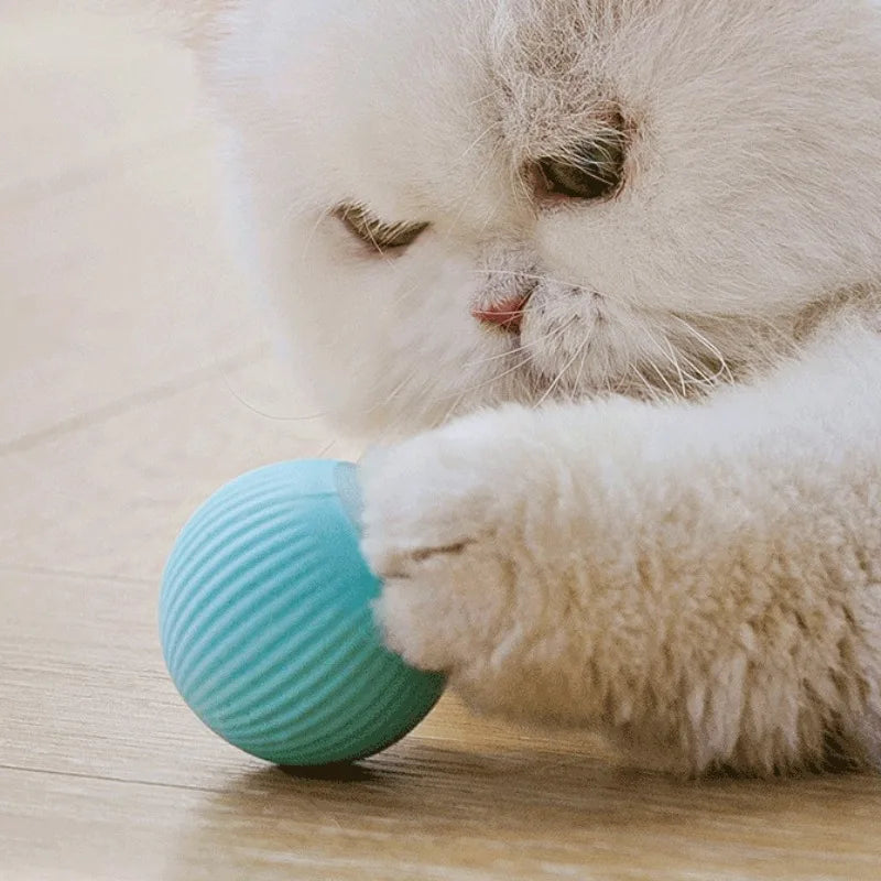 Balle interactive rechargeable pour chat