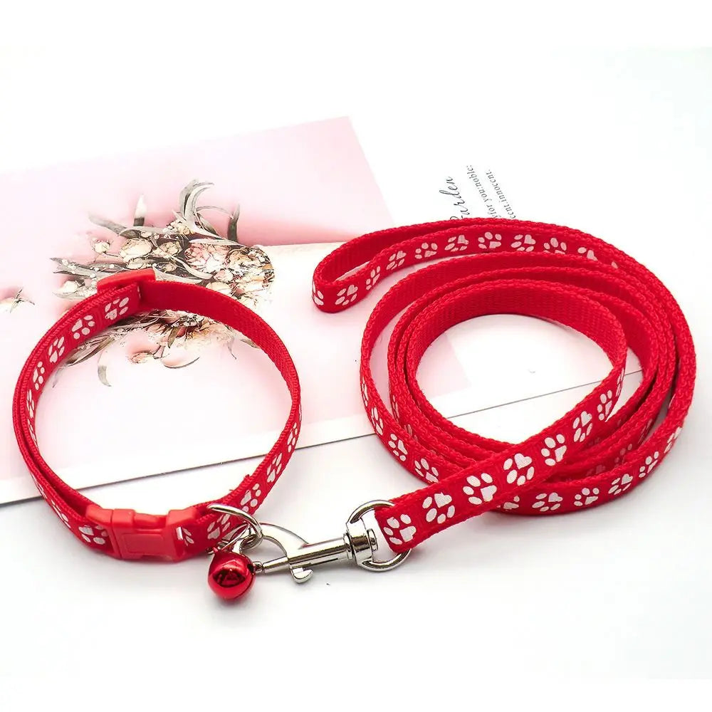 Collier + laisse nylon motif empreintes pour chat et petit chien