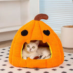Nid citrouille Halloween - chat et petit chien