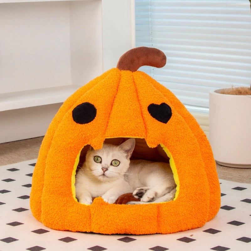 Nid citrouille Halloween - chat et petit chien