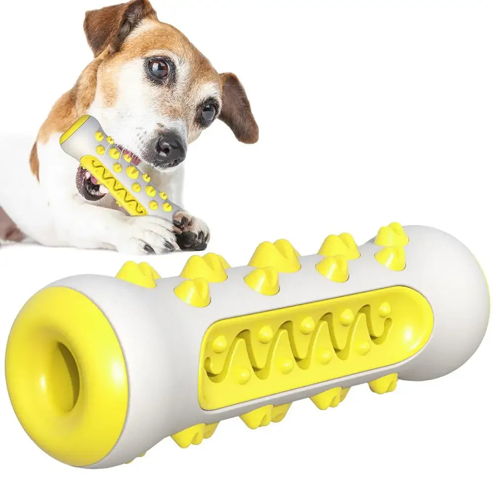 Jouet brosse à dents pour chien à mâcher