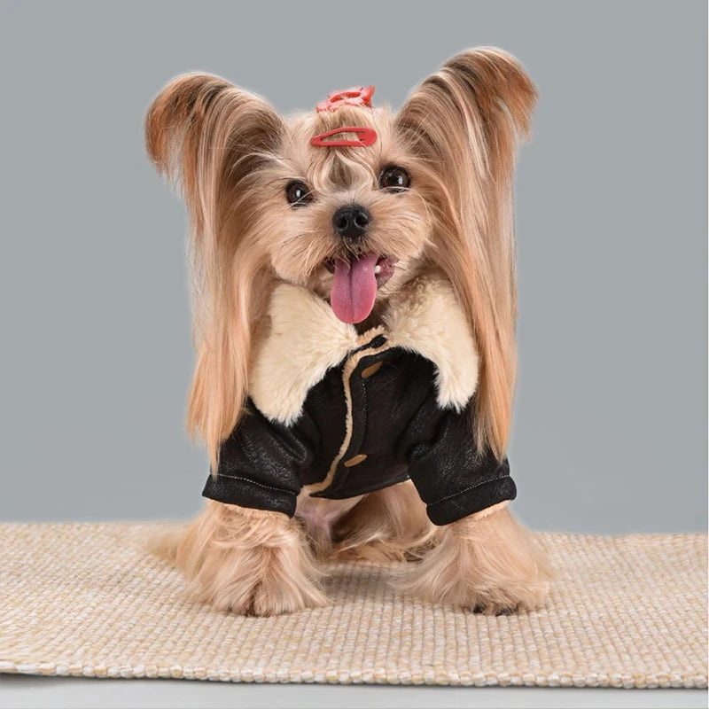 Veste d’hiver chaude effet cuir - chien et chat