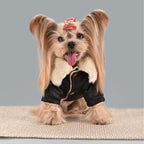 Veste d’hiver chaude effet cuir - chien et chat