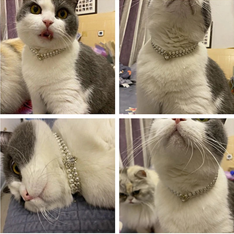 Collier perles et strass pour chat