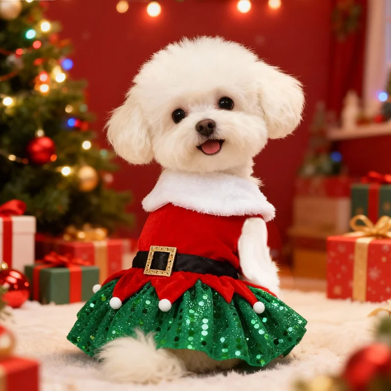 Robe de Noël festive - chien et chat
