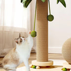 Arbre à chat cocotier interactif – chat