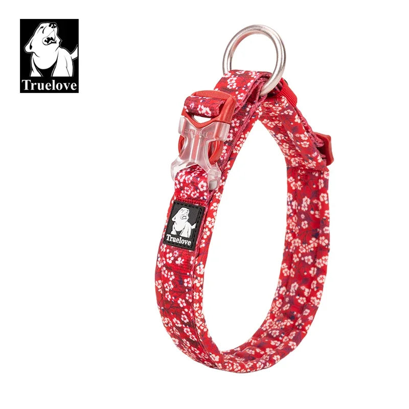 Collier pour chien floral rembourré en nylon