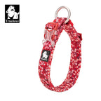 Collier pour chien floral rembourré en nylon
