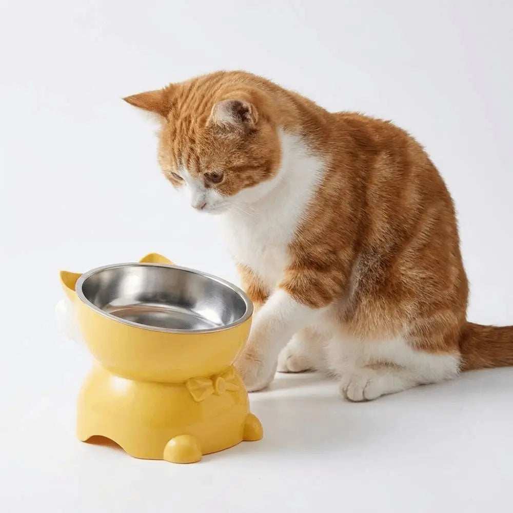 Bol incliné anti-étouffement - chat