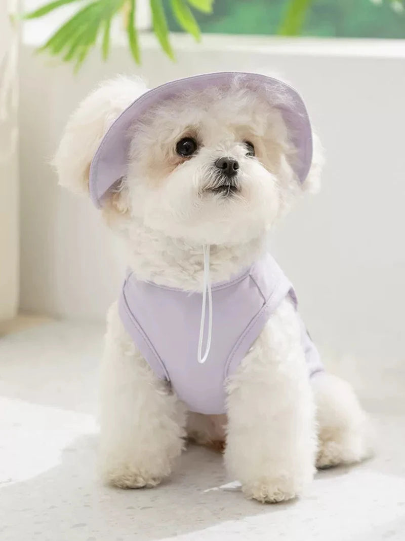 Gilet rafraîchissant avec casquette - chien ou chat