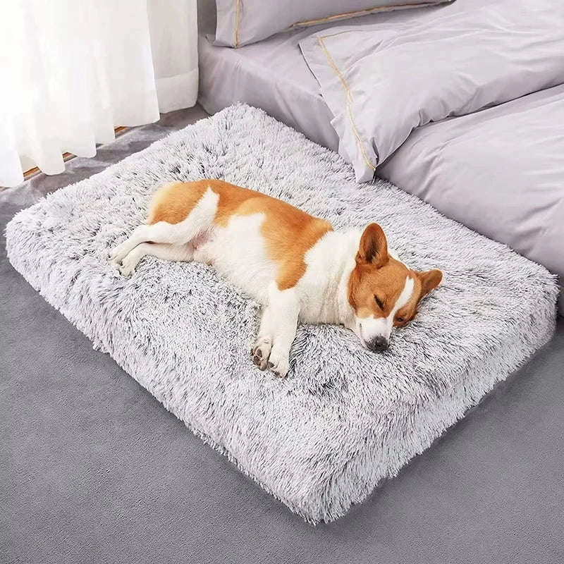 Matelas rectangulaire en peluche pour chien et chat