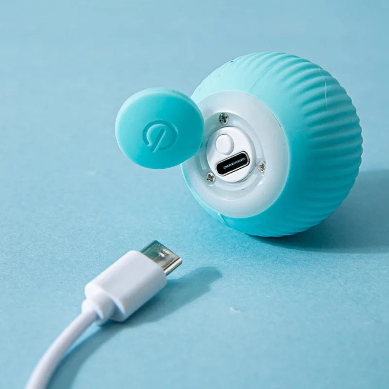 Balle interactive rechargeable pour chat