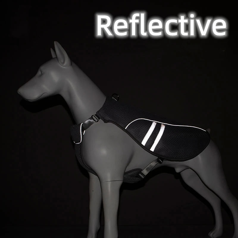 Veste rafraîchissante - chien