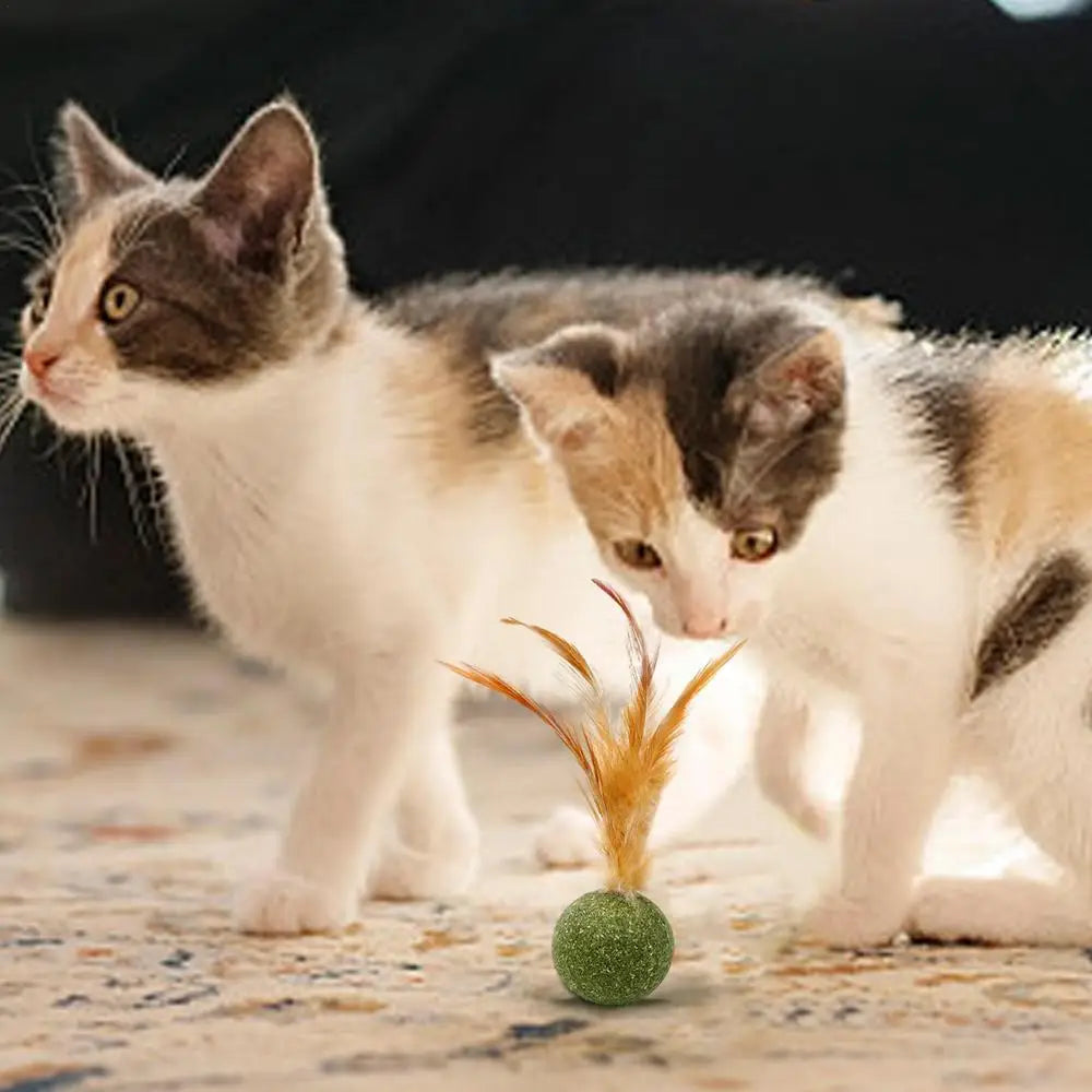 Boule à plumes à l’herbe à chat naturelle pour chat