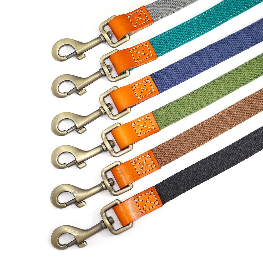 Laisse de marche nylon - chien